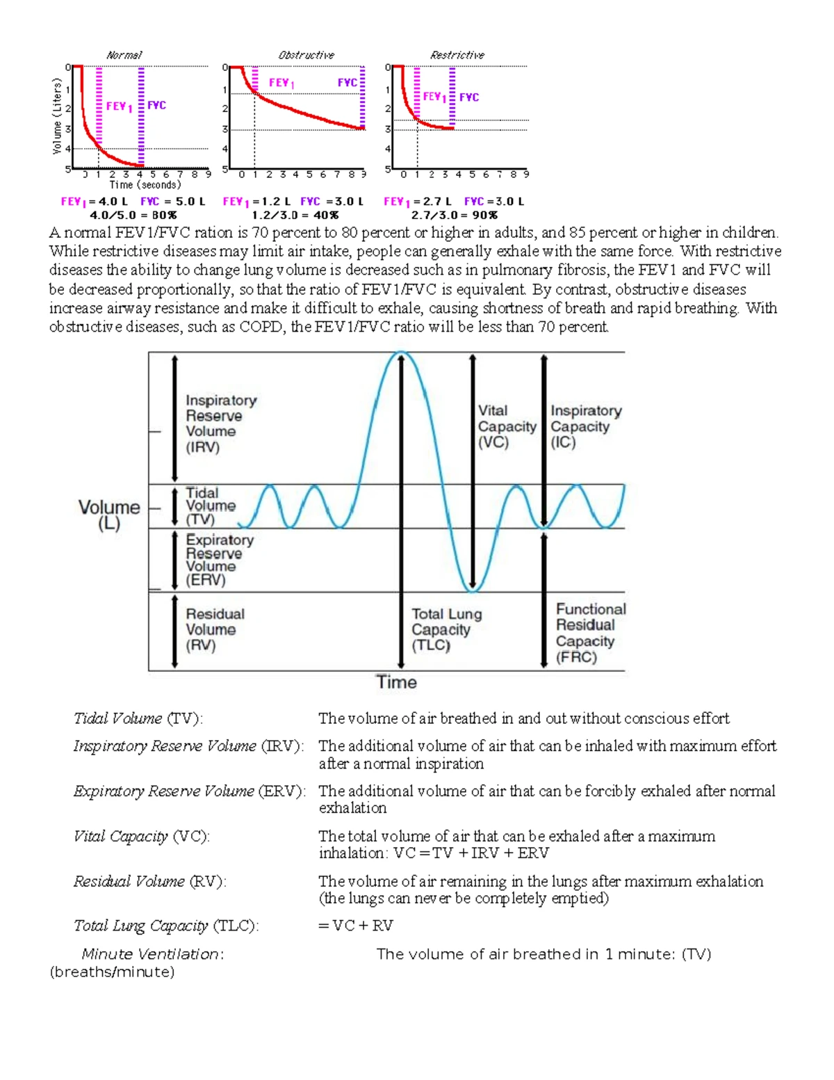 Physio Ex Worksheet: Understanding Respiratory Mechanics and Diseases ...