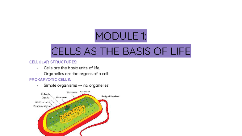 Module 1: Cells as the Basis of Life - Overview of Cellular Structures ...