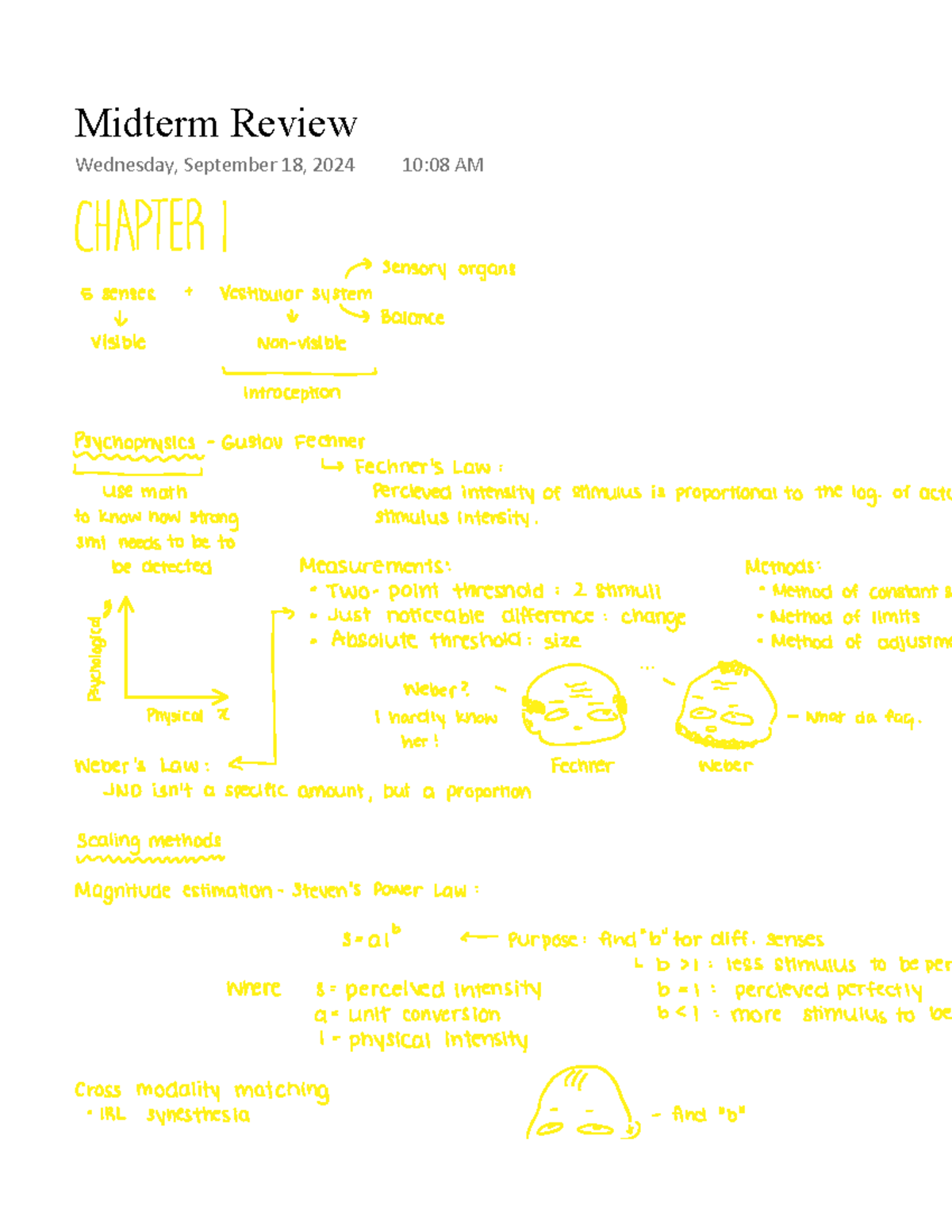 PSYC 212 Midterm 1 Study Guide: Sensory & Visual Processing Insights ...