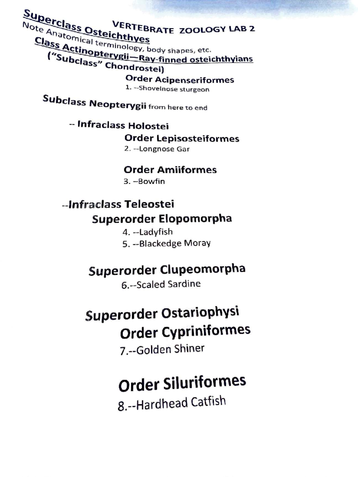 Vertebrate Zoology Lab #1: Specimens & Taxonomy Overview - Studocu