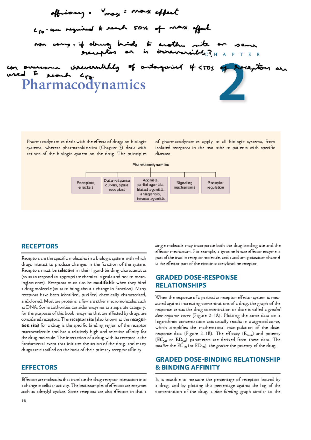 Pharmacodynamics Overview - Chapter 2 (C) - Studocu