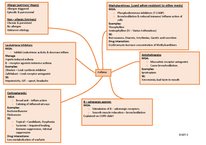 Drug class prefixes-roots-suffixes v1 - Prefix, root, suffix Examples ...