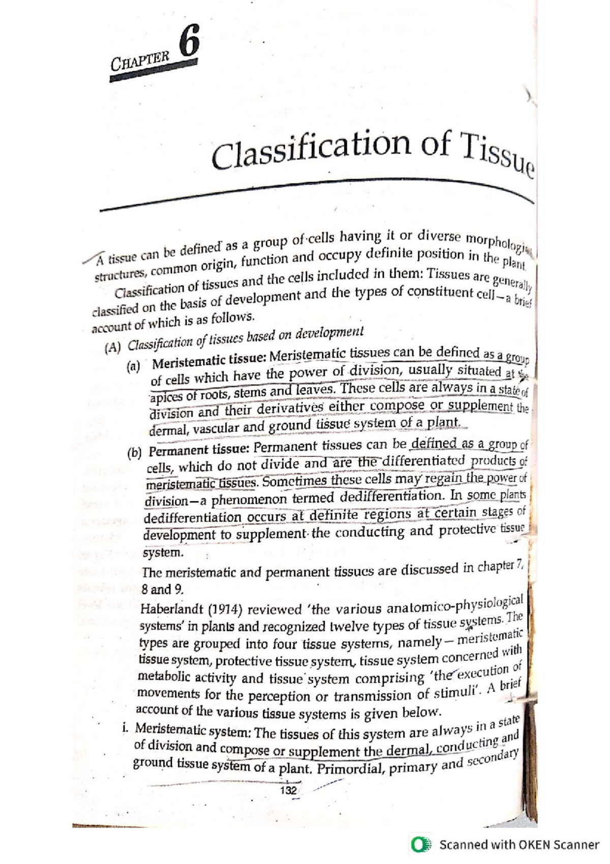 6 CHAPTER Classification of Tissues: Types and Functions Explained ...