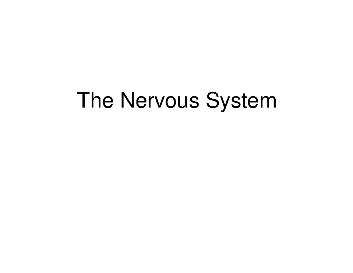 Neurophysiology: Action Potentials and Synaptic Transmission Guide ...