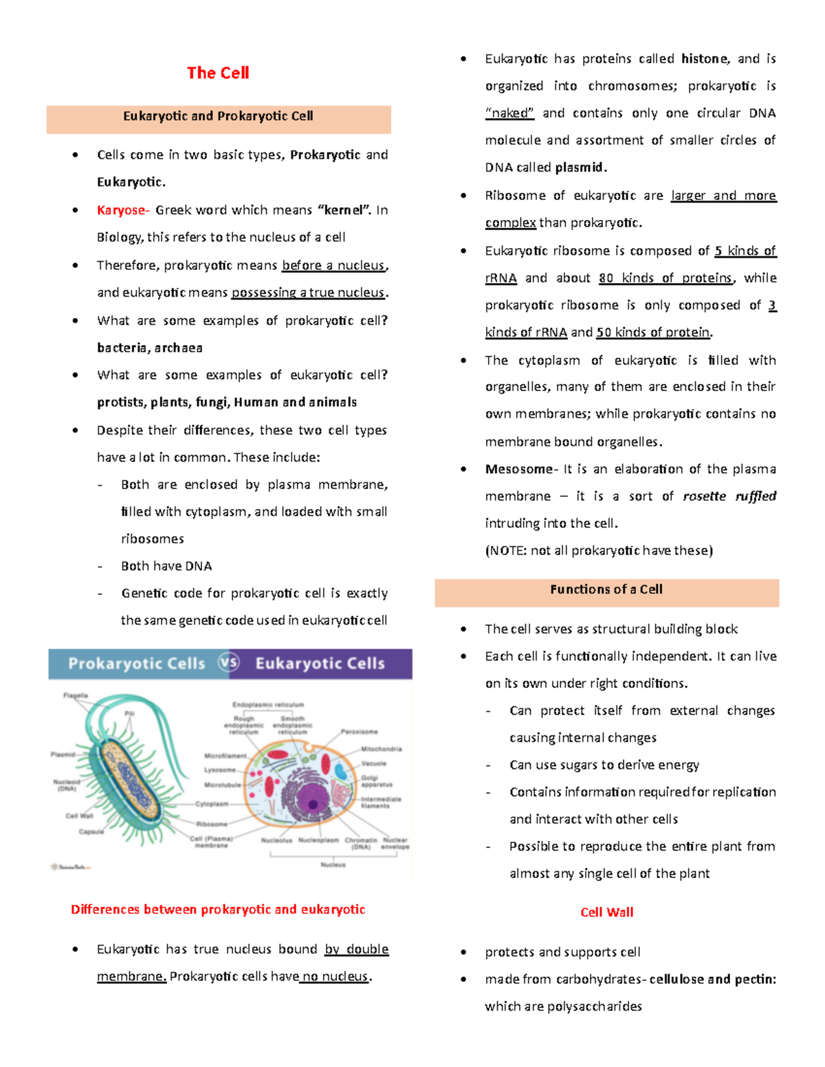 Biology 101: Comprehensive Overview of Cell Structure and Functions ...