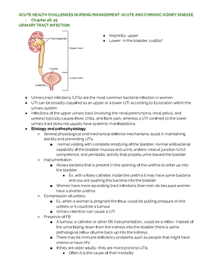 Med surg - weeks 1-12 - Week 1 Cancer What we do in class What are the ...
