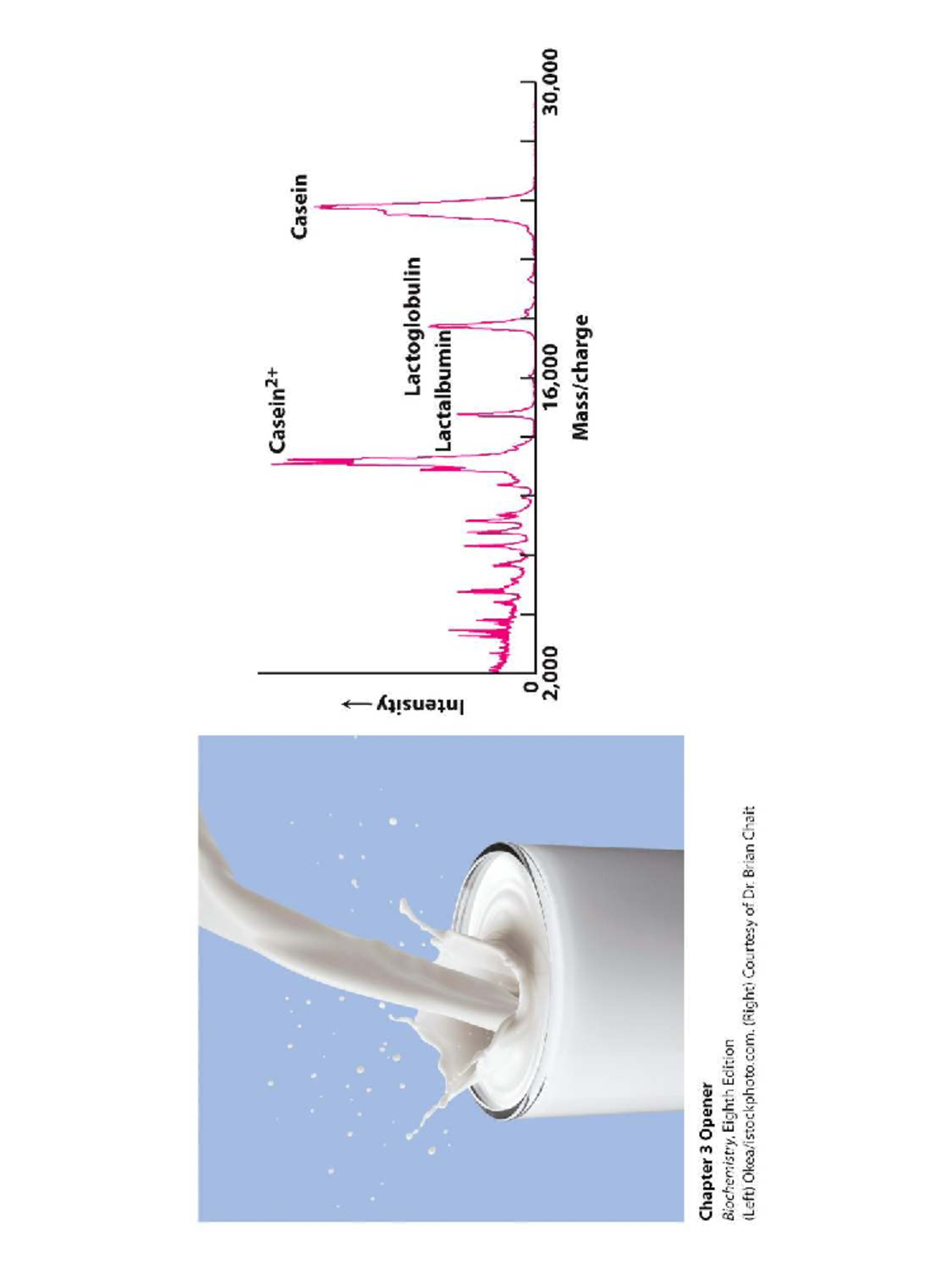 Protein Analysis Notes - Cellular Biochemistry (FALL 2025) - Studocu