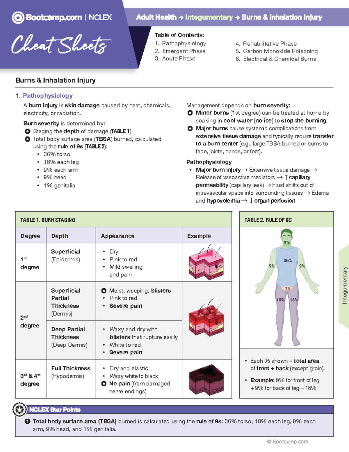 Burns & Inhalation Injury Cheat Sheet for Nursing (NURS 101) - Studocu