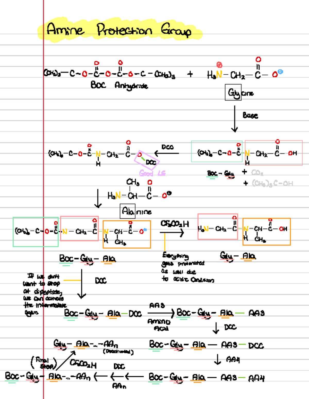 Note Sample for Mid Term 3 - Amine Protection Group O i ① II CCH3)3 Co ...