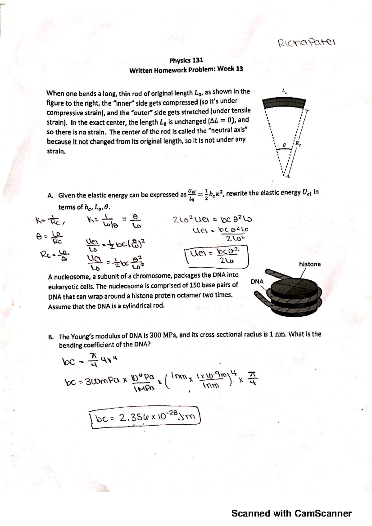 Physics 131 Written Homework #13: Rod Strain and DNA Bending ...