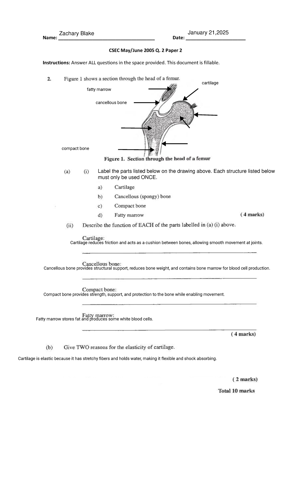 CSEC 2005: Bone Structure and Cartilage - Skeletal System Notes - Studocu