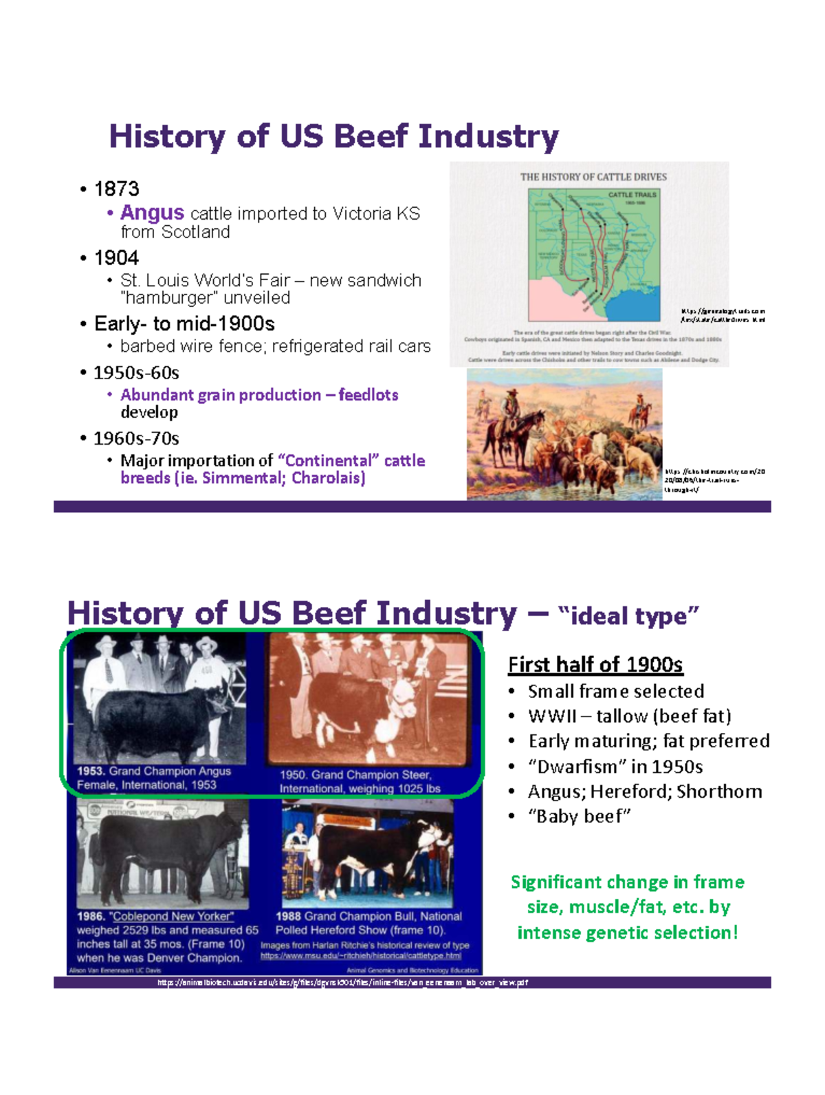 US Beef Industry Evolution: Yield & Quality Grades Overview - Studocu