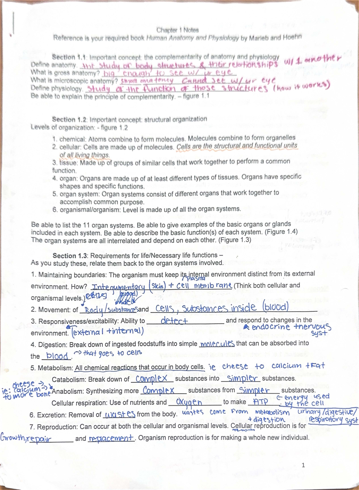 ANATOMY 101 FINAL EXAM REVIEW visual data 8