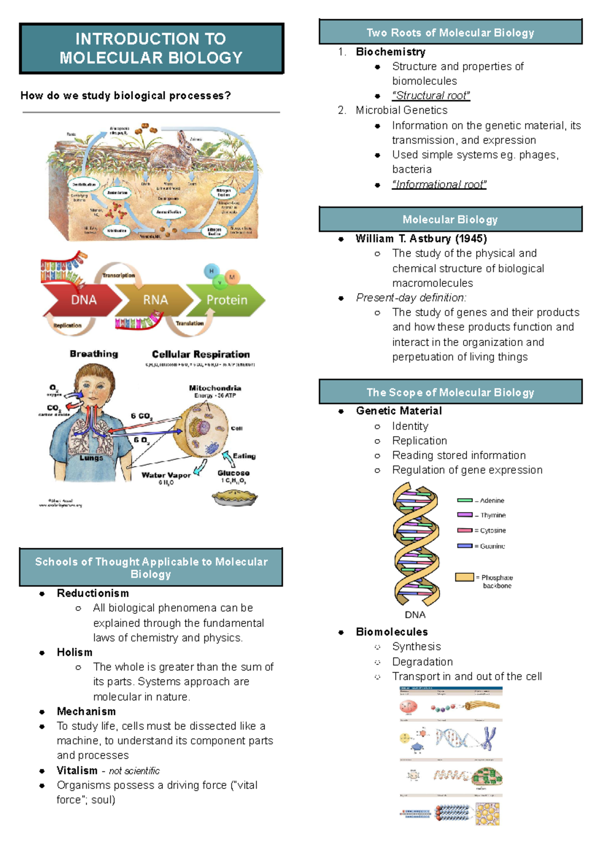 Mol Bio - Intro to Molecular Biology and Key Concepts - Studocu