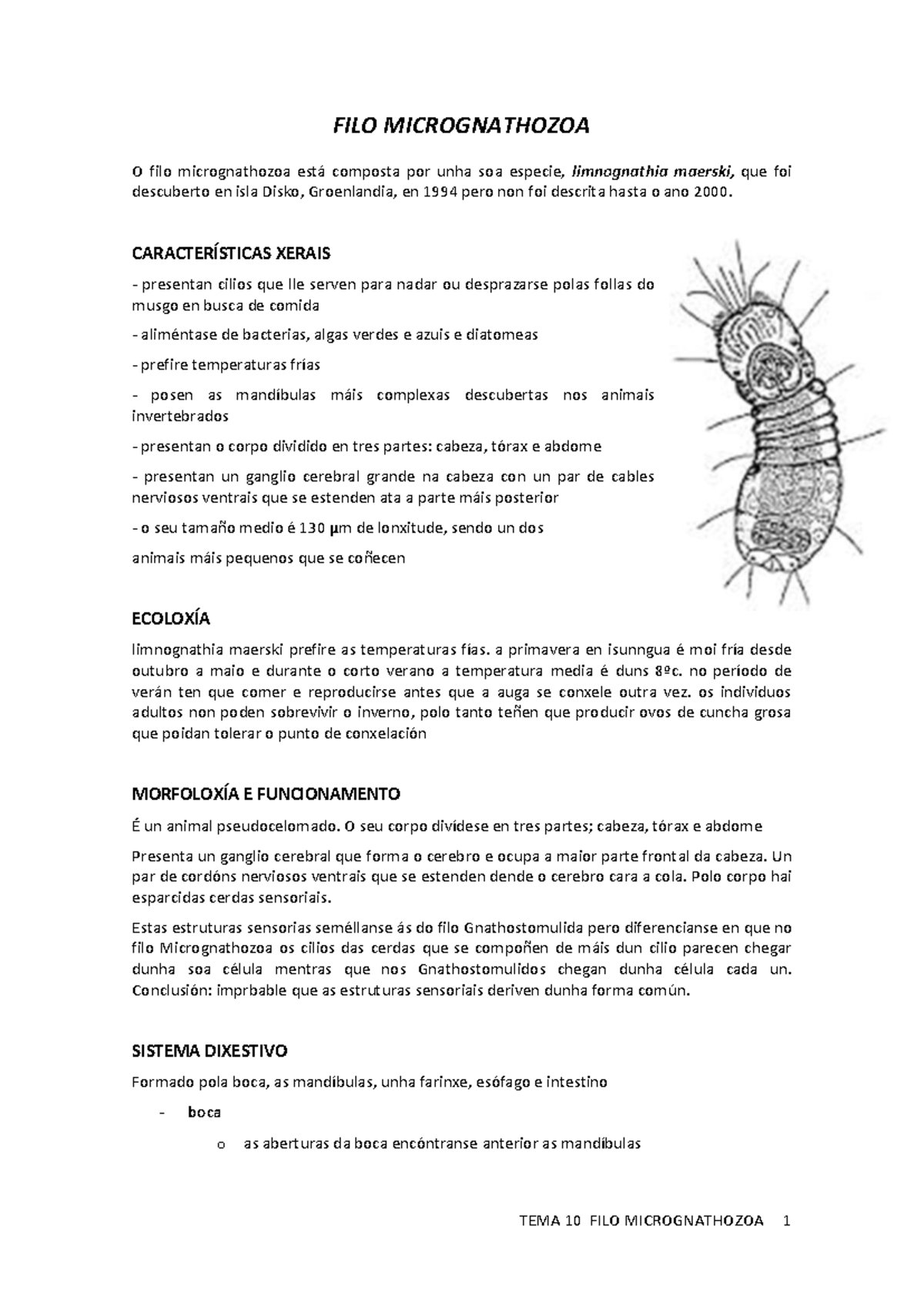 10. Estudo do FILO MICROGNATHOZOA: Características e Ecoloxía - Studocu