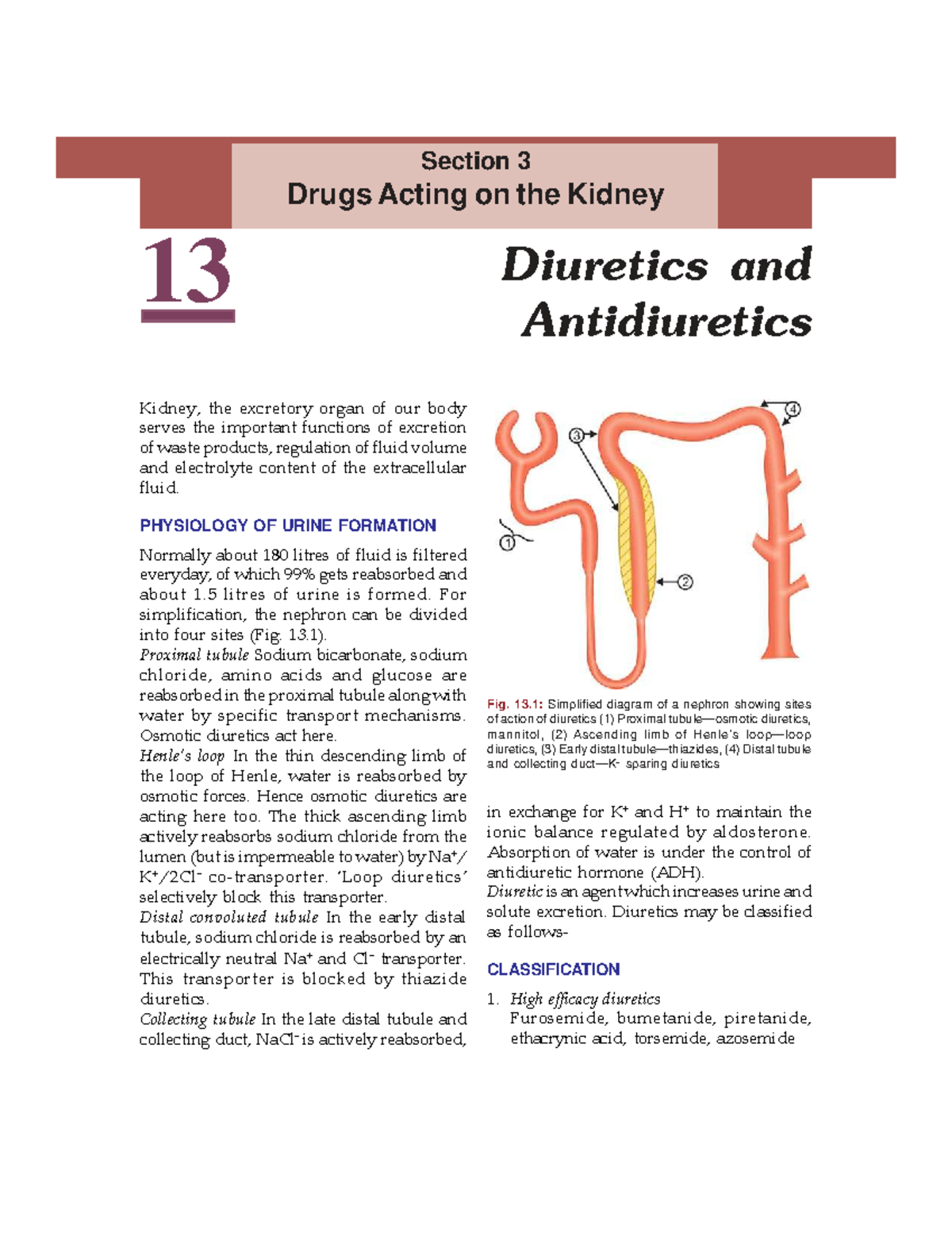 Pharmacology 82: Diuretics and Antidiuretics in Kidney Function - Studocu