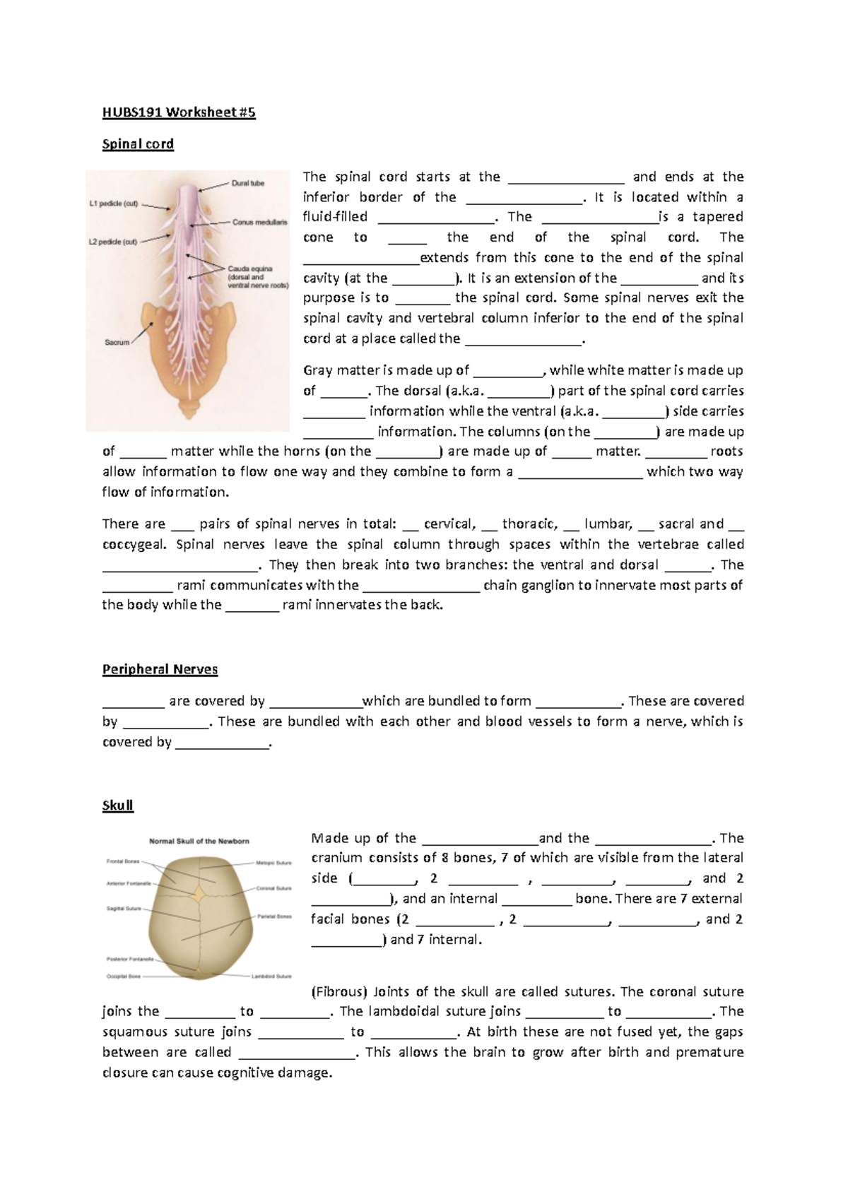 Worksheet Week #7 - - Studocu