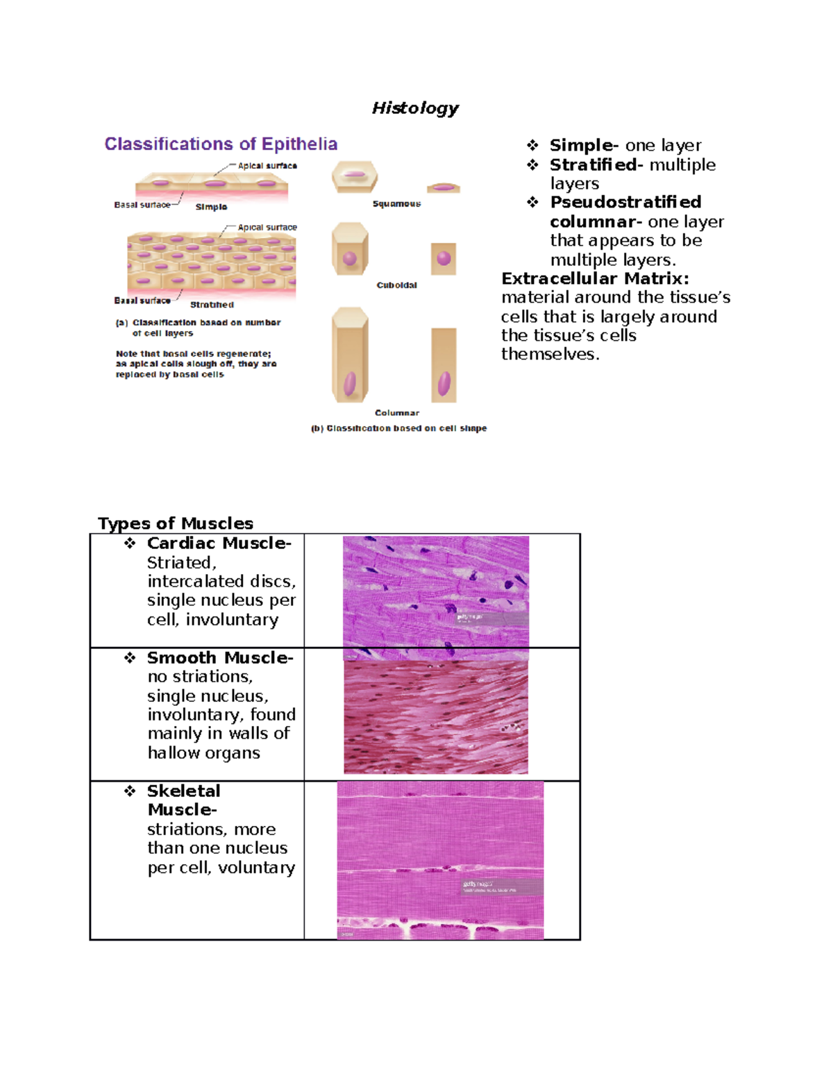Histology - Extracellular Matrix: material around the cells that is ...