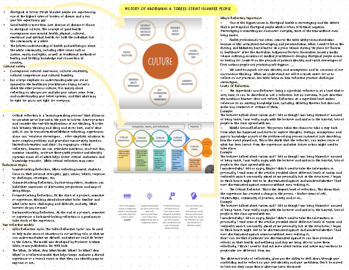 INDH2000 - Critical Reflection on Aboriginal Health and Stereotyping ...