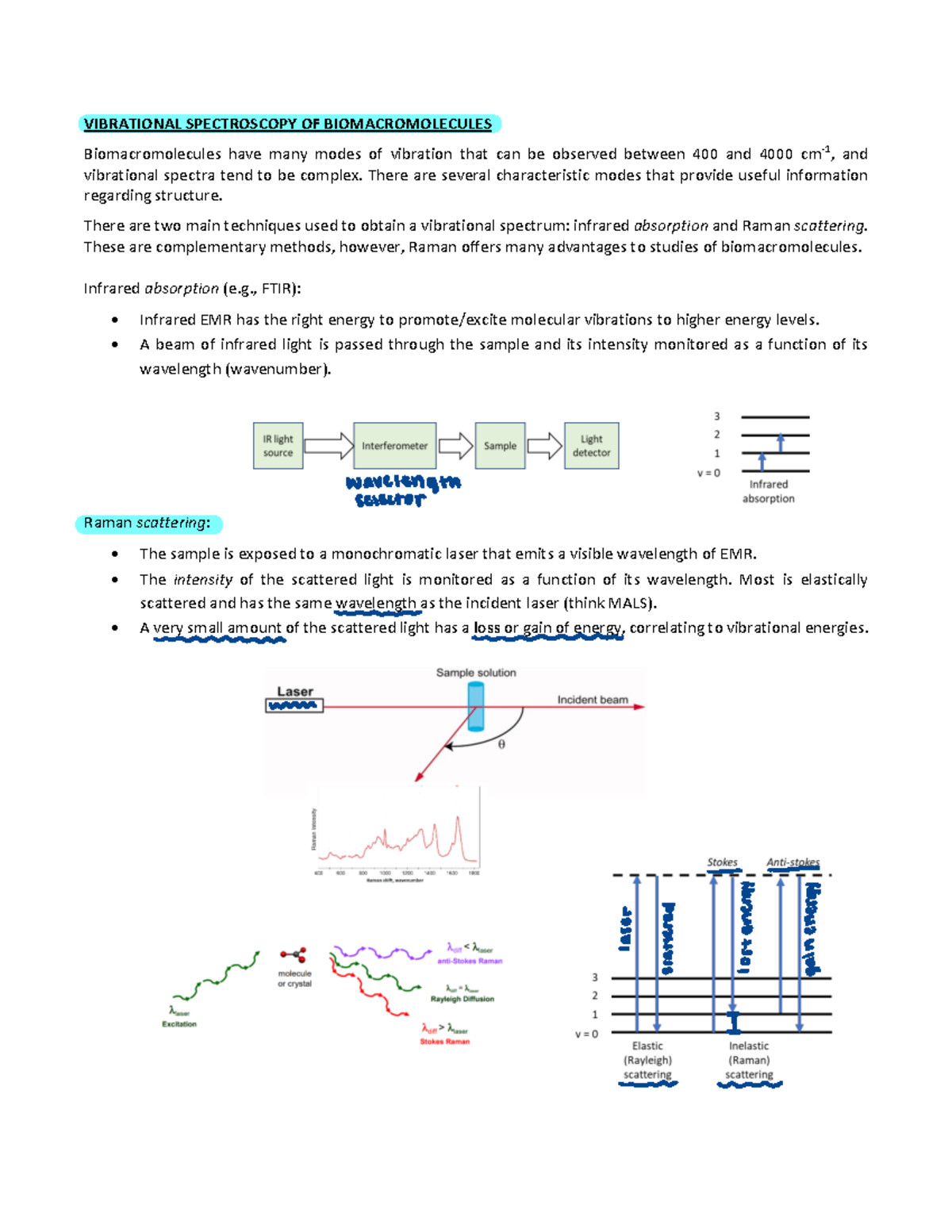 Packet 19: Final Exam Notes on IR & Raman Vibrational Spectroscopy ...