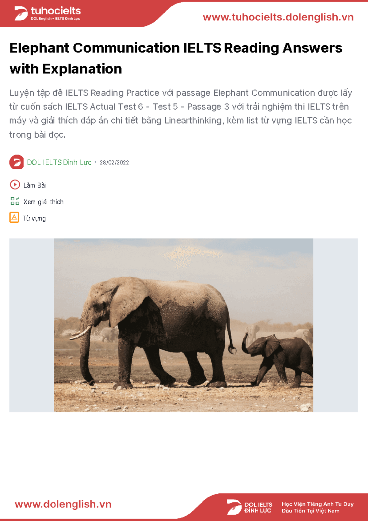 Elephant Reading Answers