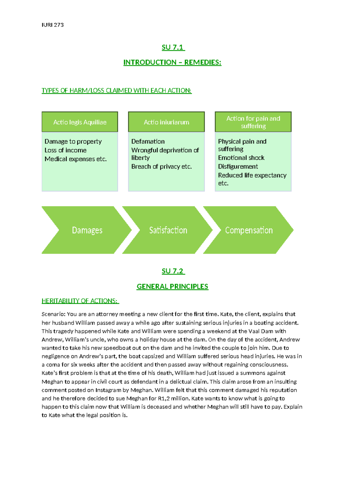 IURI 273 SU 7 - Summary of Delict Law Principles and Remedies - Studocu