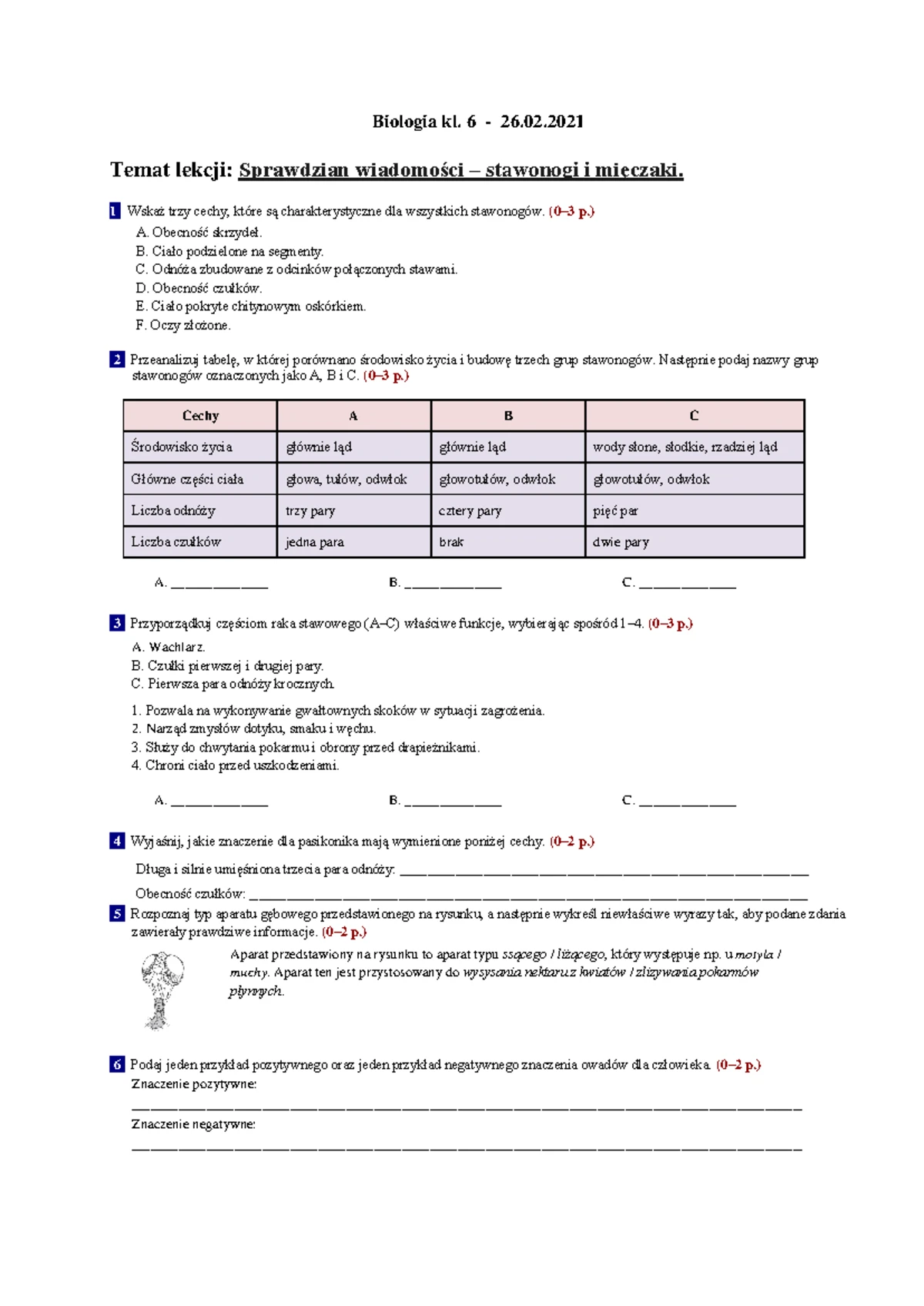 Sprawdzian Z Biologii Z Tematu Budowa I Funkcje Kwasów Nukleinowych