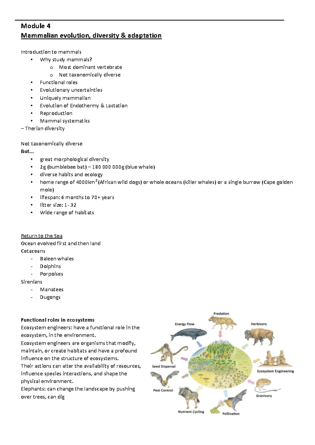 Nutrition and Thermoregulation in Vertebrates: A Comprehensive Overview ...