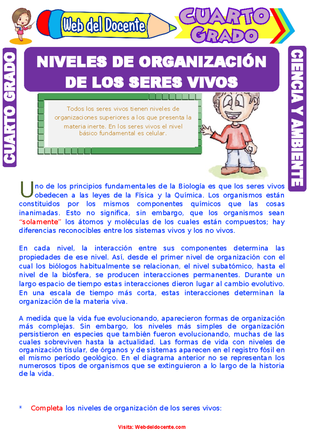 Niveles de Organización de los Seres Vivos para 4º Grado de Primaria ...