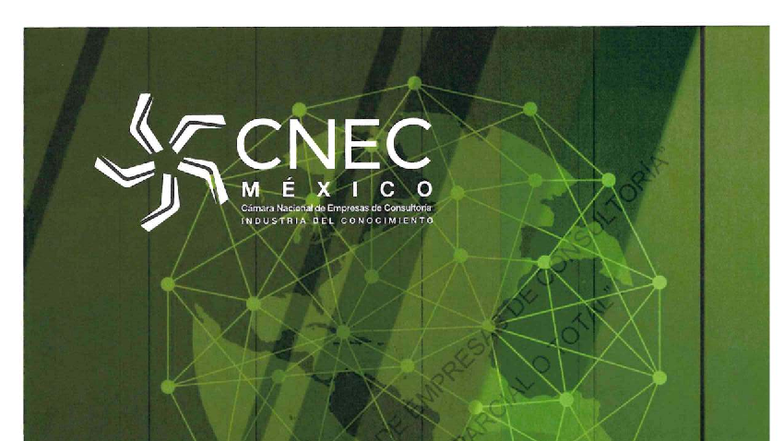 Estudio de Mercado y Metodología para Propuestas de Consultoría CNEC 2025 - Document Preview