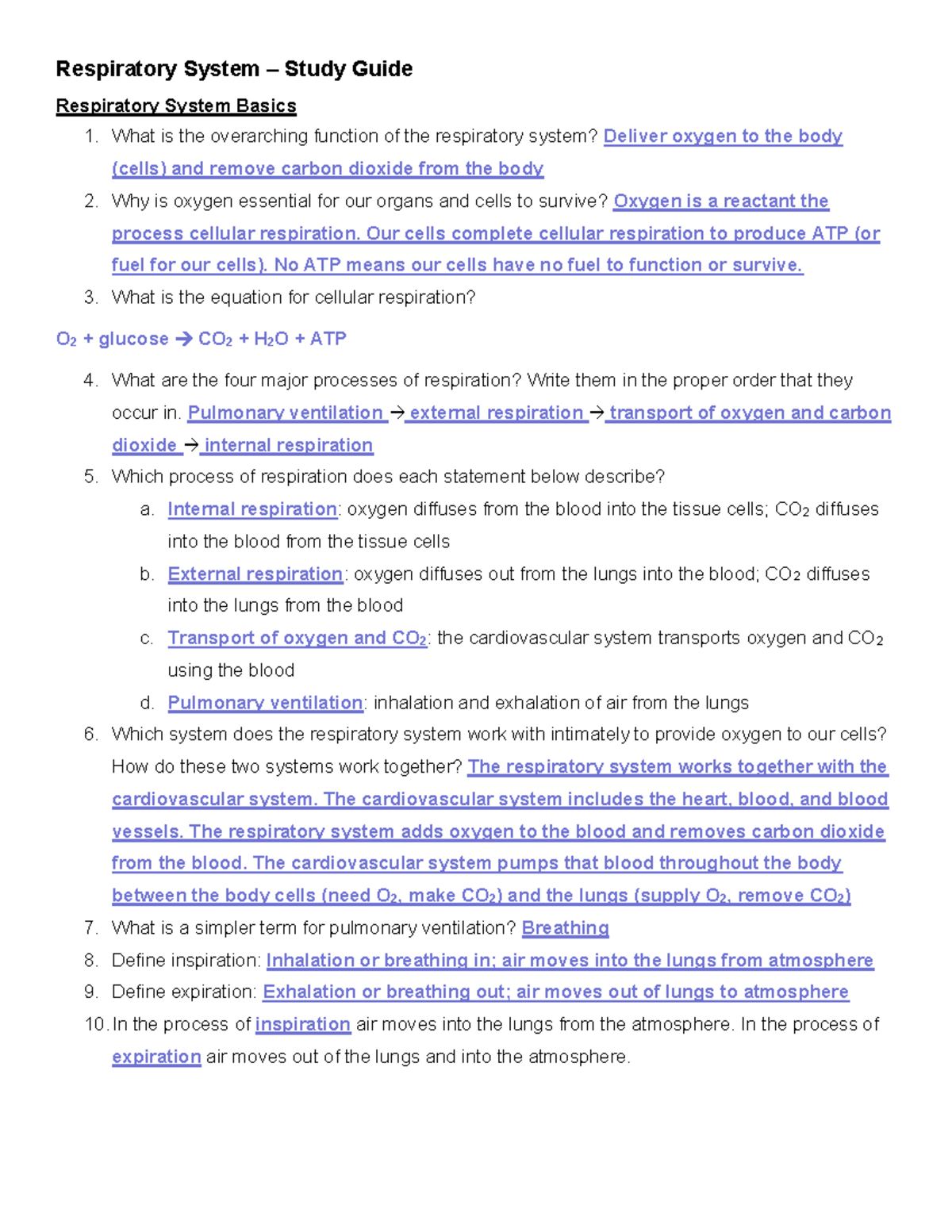 Respiratory System Study Guide: Key Concepts and Processes - Studocu