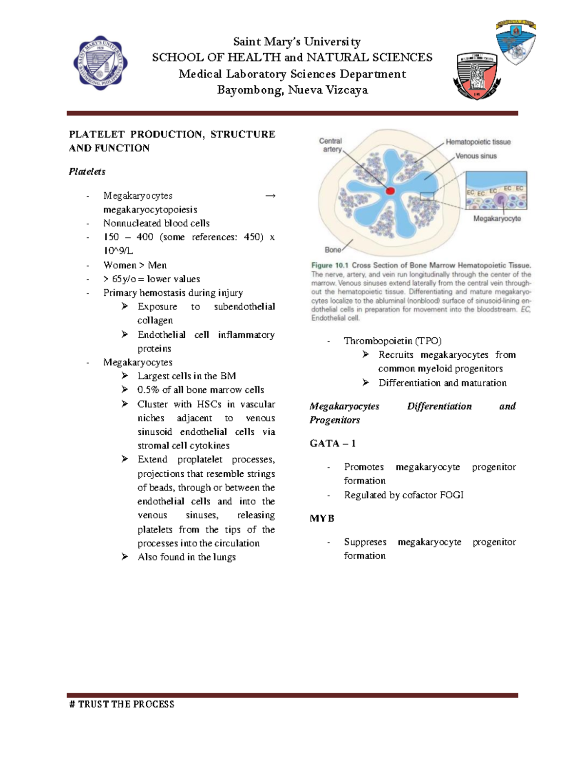 HEMA 2 Lecture Prelims: Understanding Platelet Biology and Hemostasis ...
