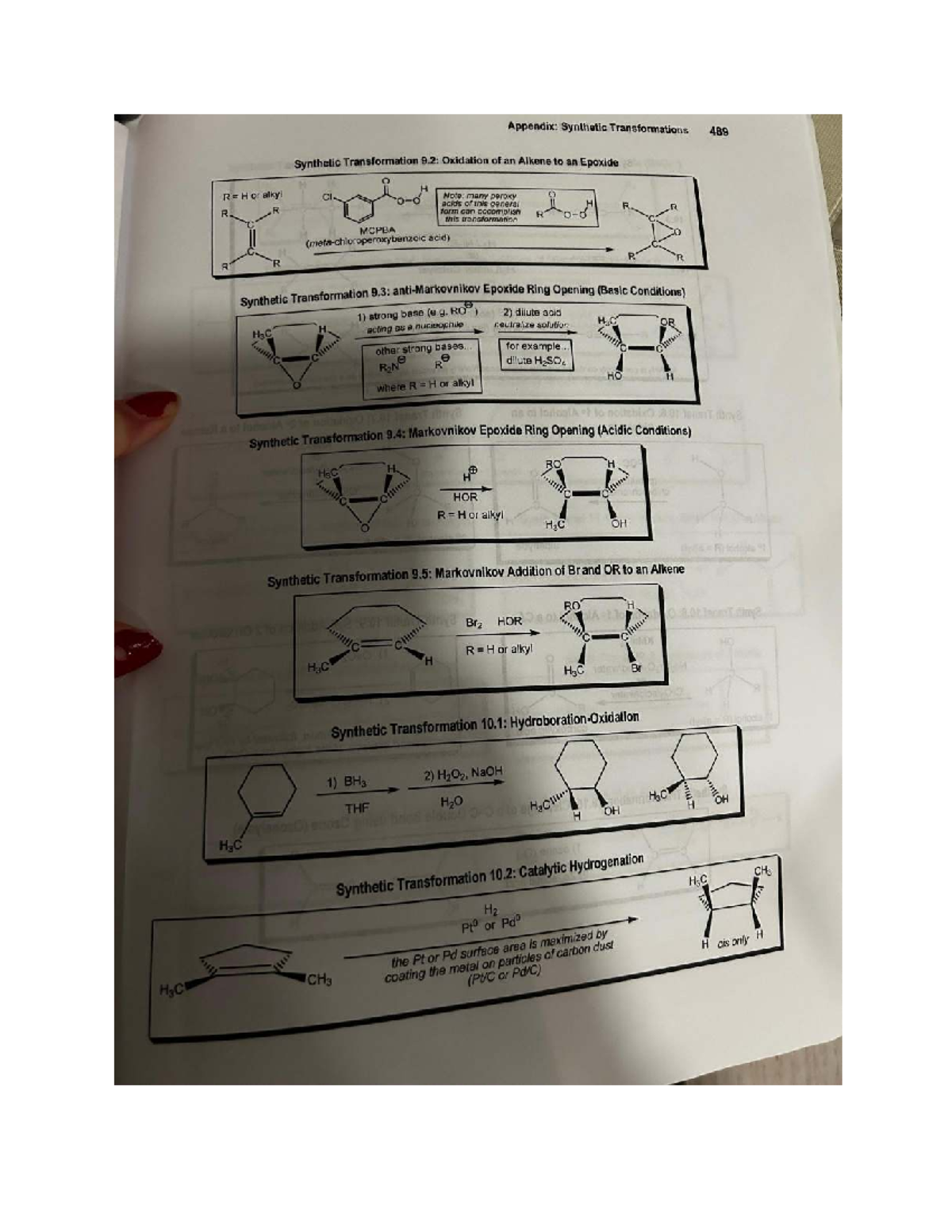 Midterm Exam Review Notes for Course Code [Your Course Code] - Appendix ...