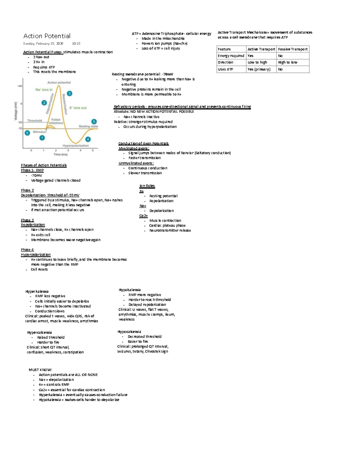 Action Potential Lecture Notes - ATP and Ion Transport Mechanisms - Studocu