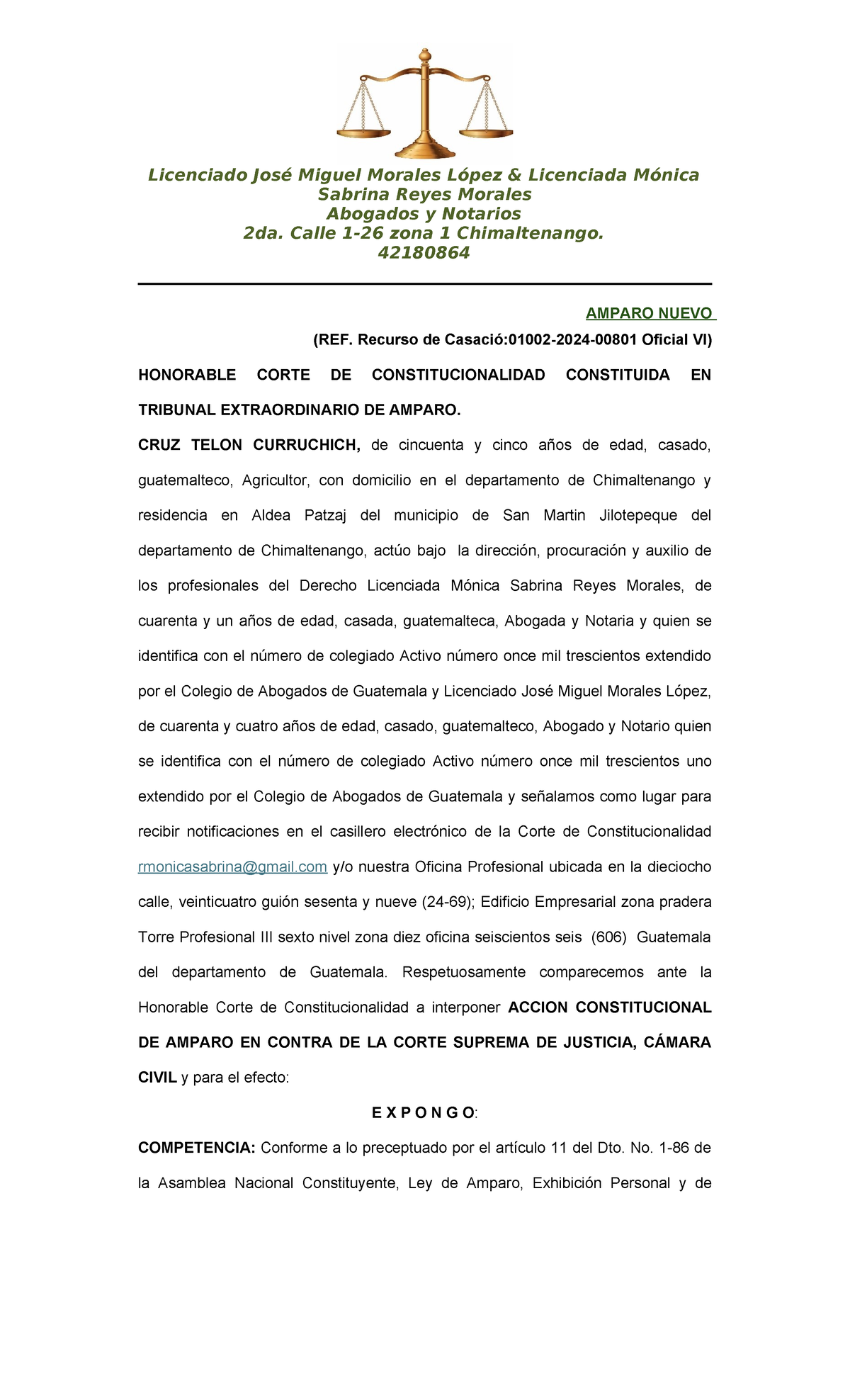 Amparo constitucional en contra de la Corte Suprema de Justicia VI ...