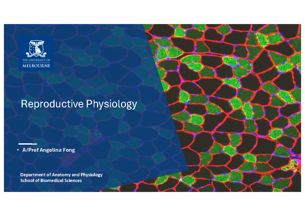 MUSI2015 Lecture Notes: Resource-Oriented Music Therapy for