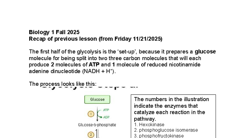 Biology+1+Fall+2025 +Lesson+for+11 24 2025 - Biology 1 Fall 2025 Recap ...