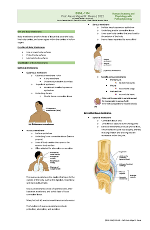 Reviewer for Ana Phy Chapter 1 - Anatomy Part I Identification ...