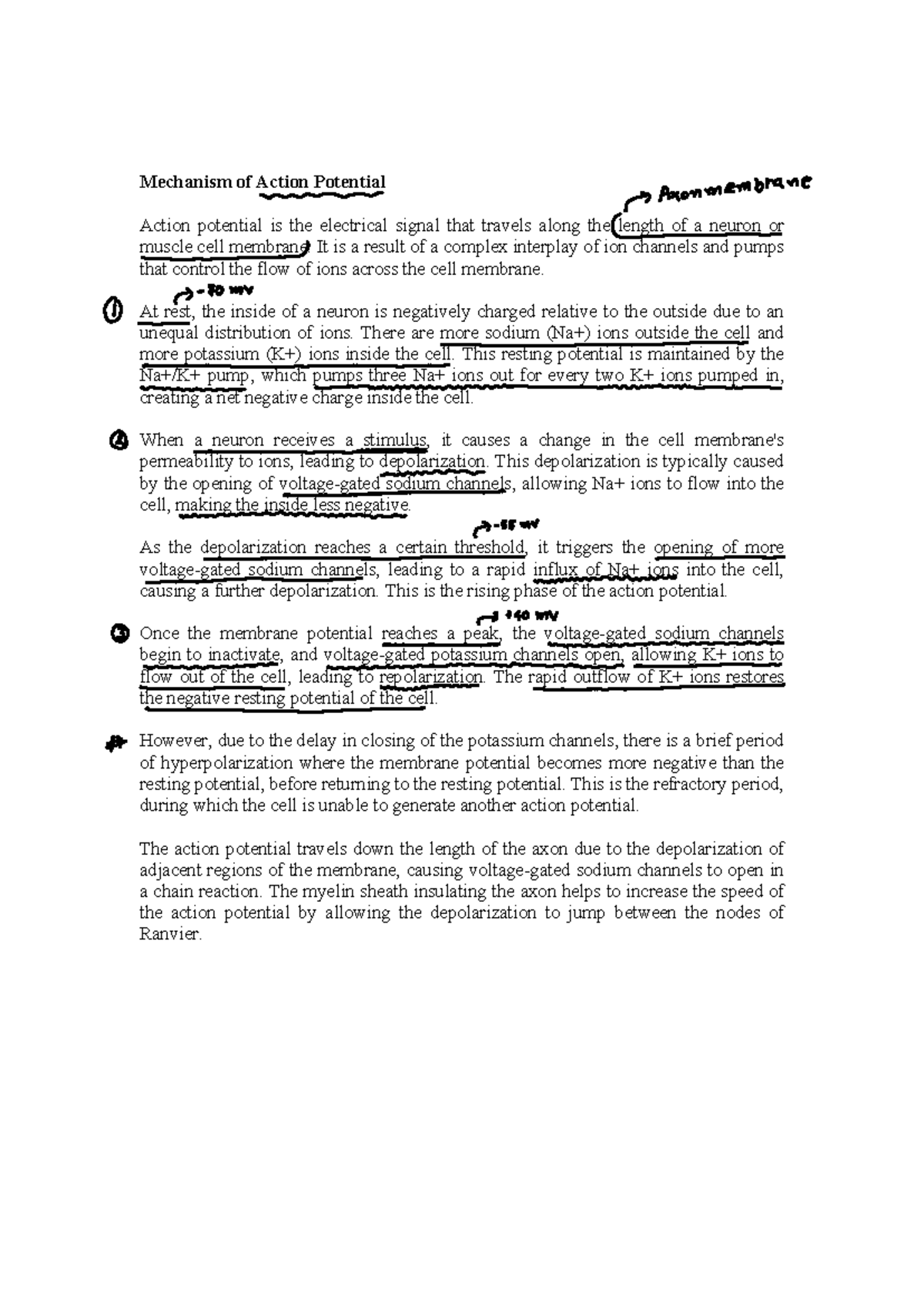 Microshock and Macroshock: Understanding Electrical Risks in Healthcare -  Studocu