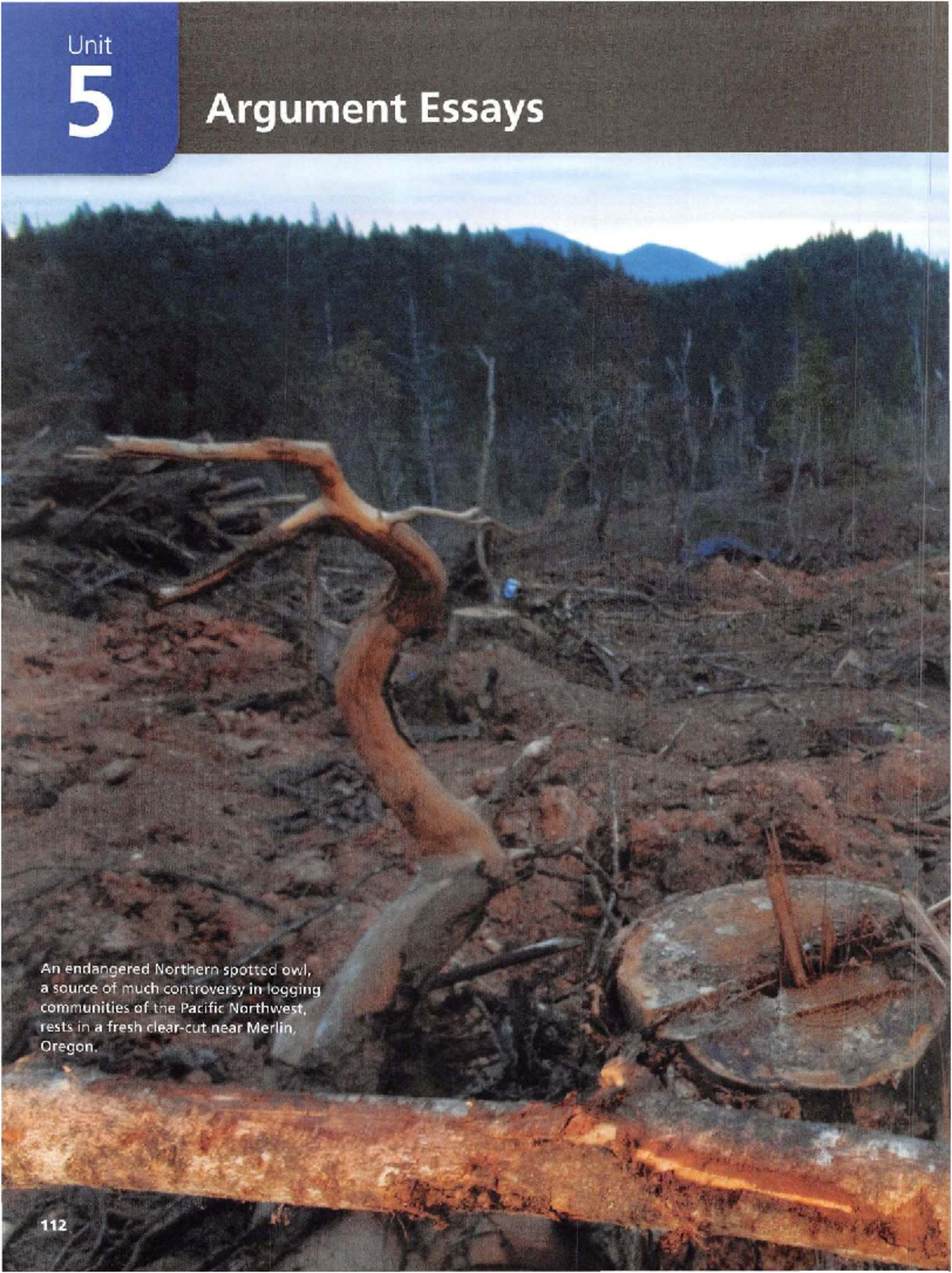 Argumentative Essay Techniques: Nature Conservation vs. Industry Growth ...
