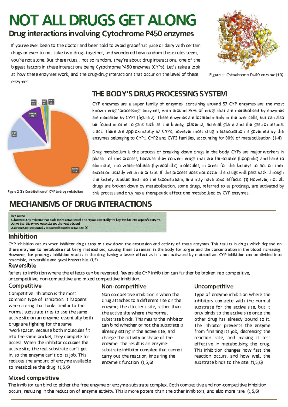 CYP Drug Interactions: Understanding Cytochrome P450 Enzymes in ...