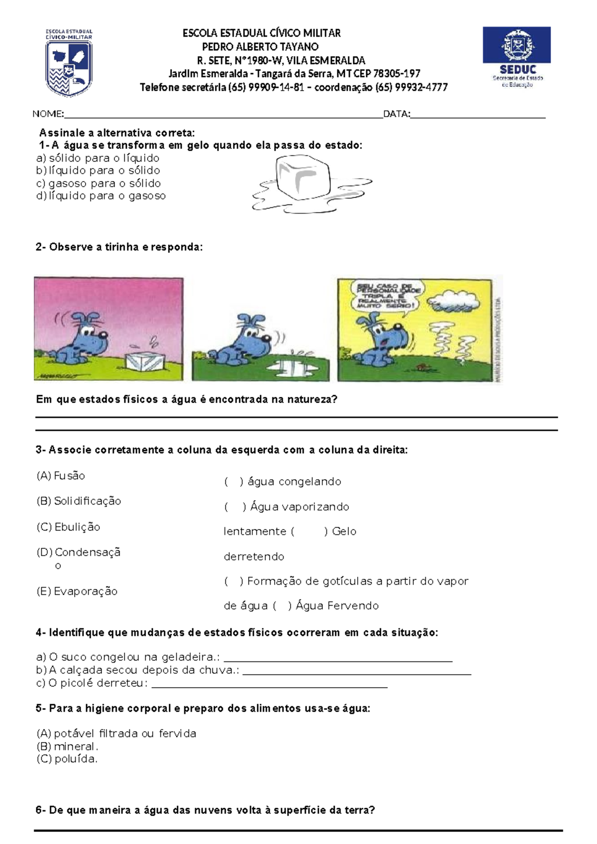 Ciencias 6º Ano: Os Estados Físicos da Água - Atividades e Questões ...