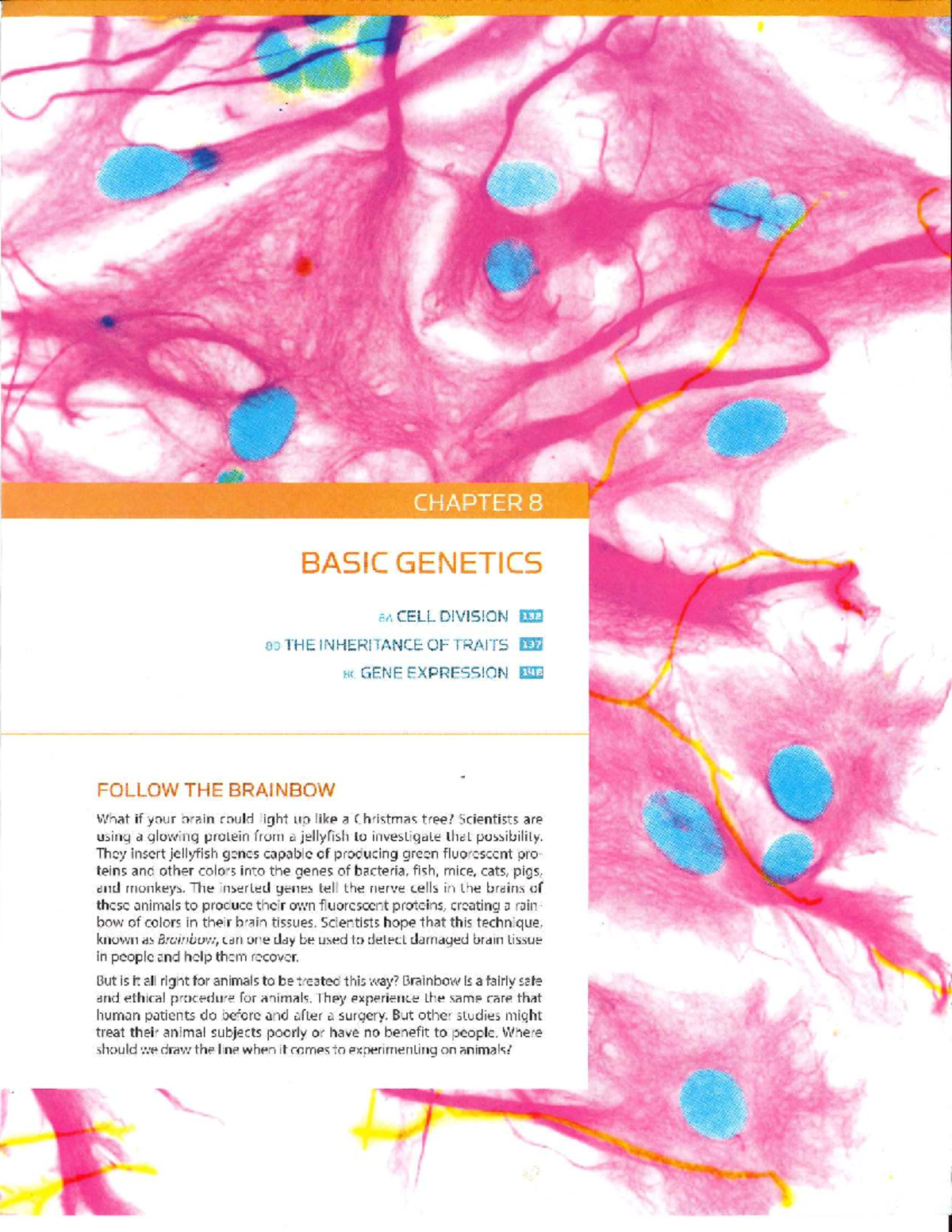 CHAPTER 8A: CELL DIVISION, TRAIT INHERITANCE & GENE EXPRESSION - Studocu