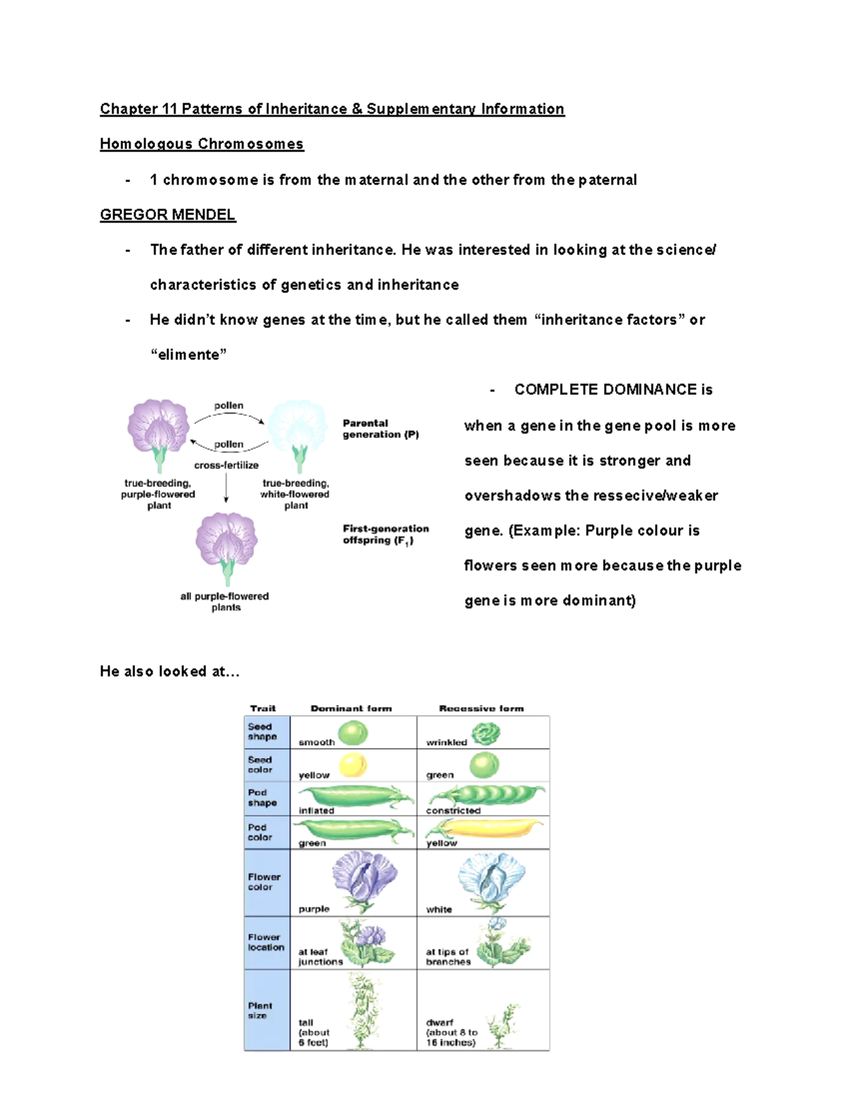 Bio Notes Chapter 11 - Chapter 11 Patterns of Inheritance ...