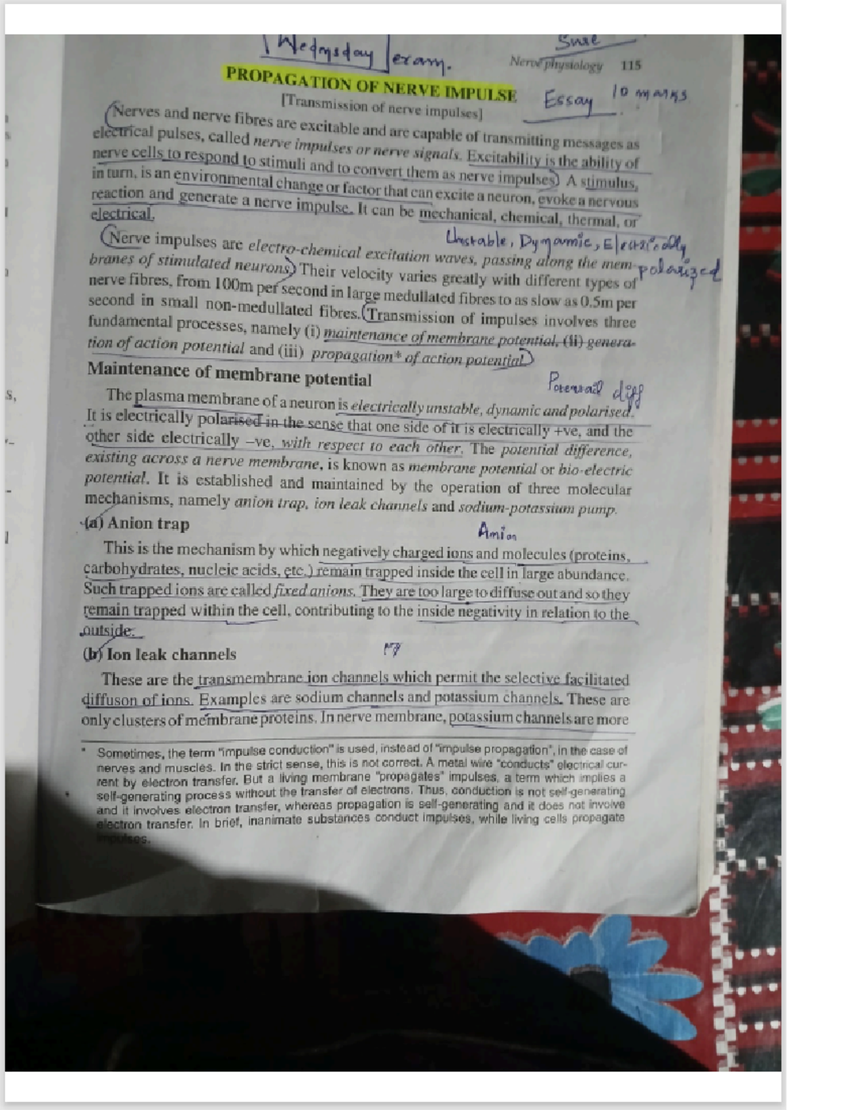 CPT 2020 - Radiology Coding Guidelines and Changes Overview - Studocu