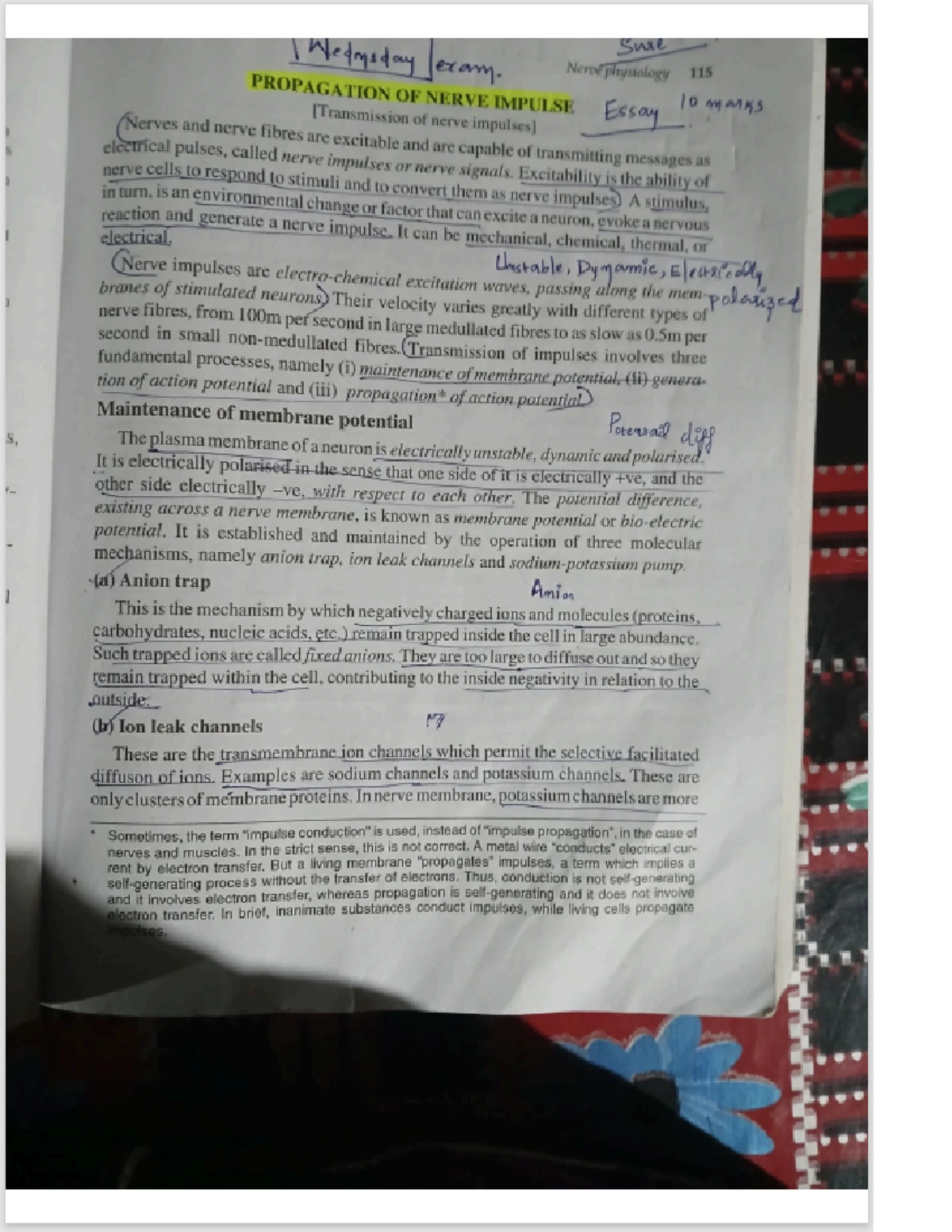 CPT 2020 - Radiology Coding Guidelines and Changes Overview - Studocu