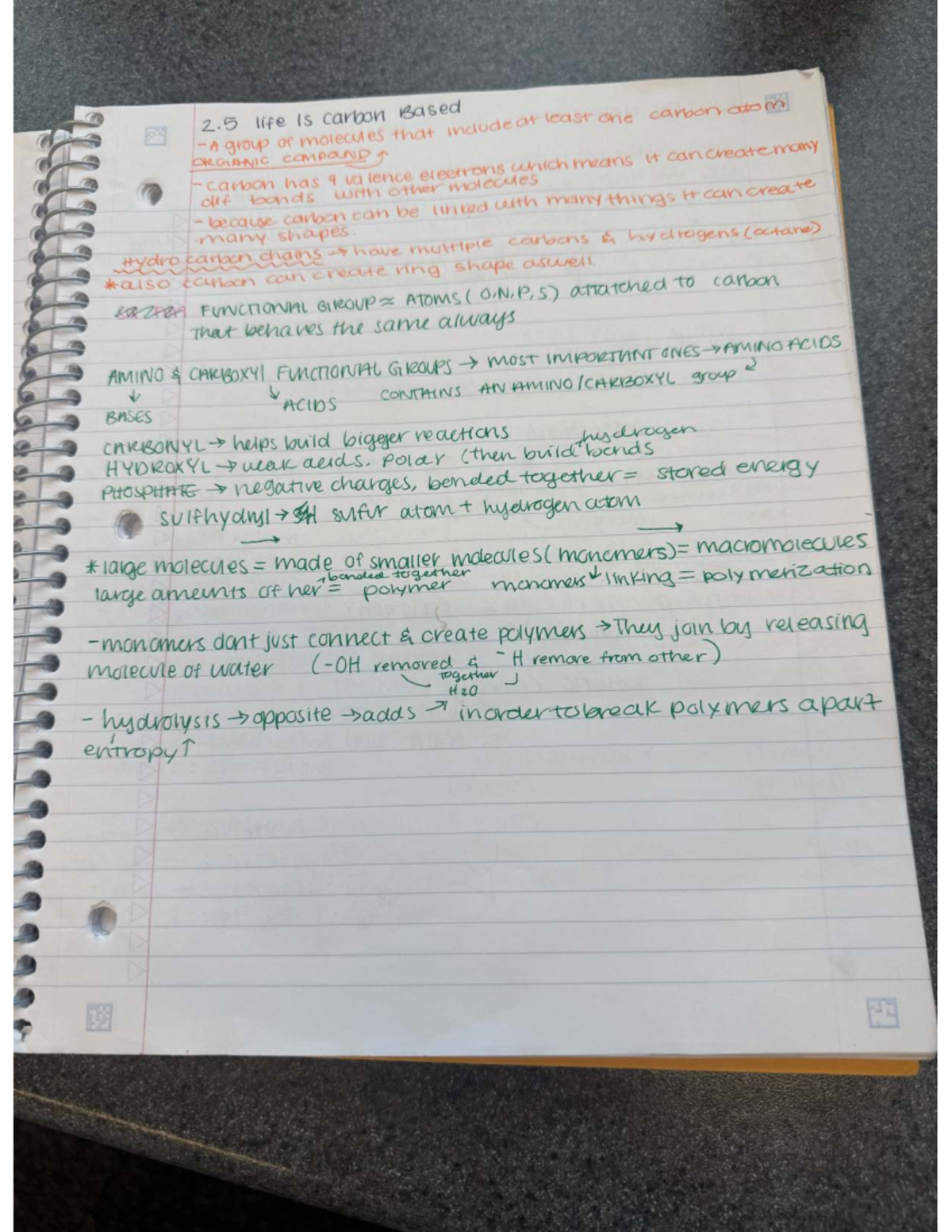 Final Exam Study Guide for Course X: Organic Compounds & Molecules ...