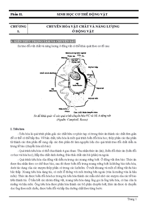 [Solved] Trnh by cc tnh cht c bn ca lp in kp nh ngha dzeta in th v ng ...