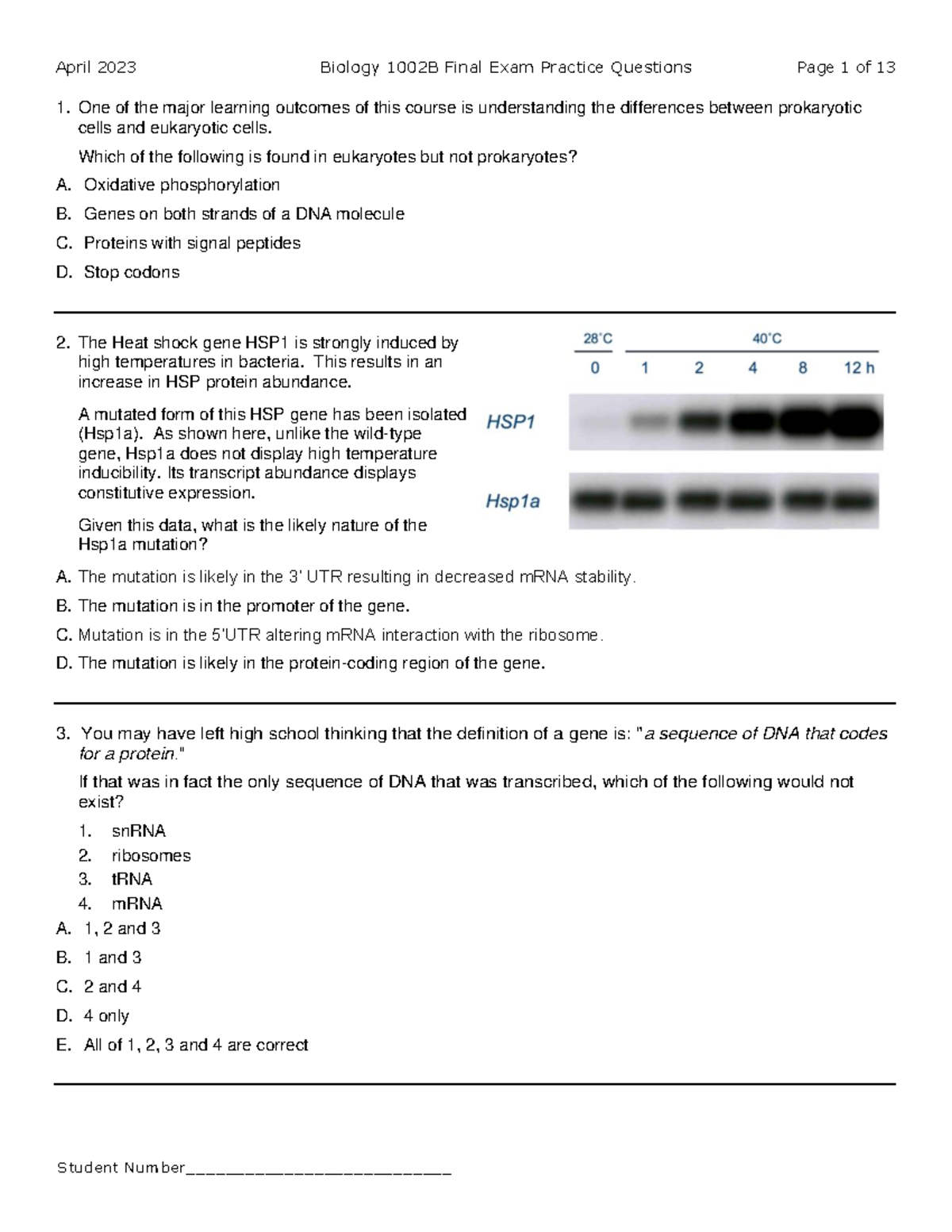 B1002B+Practice+Final+Exam April+2023 - One of the major learning ...