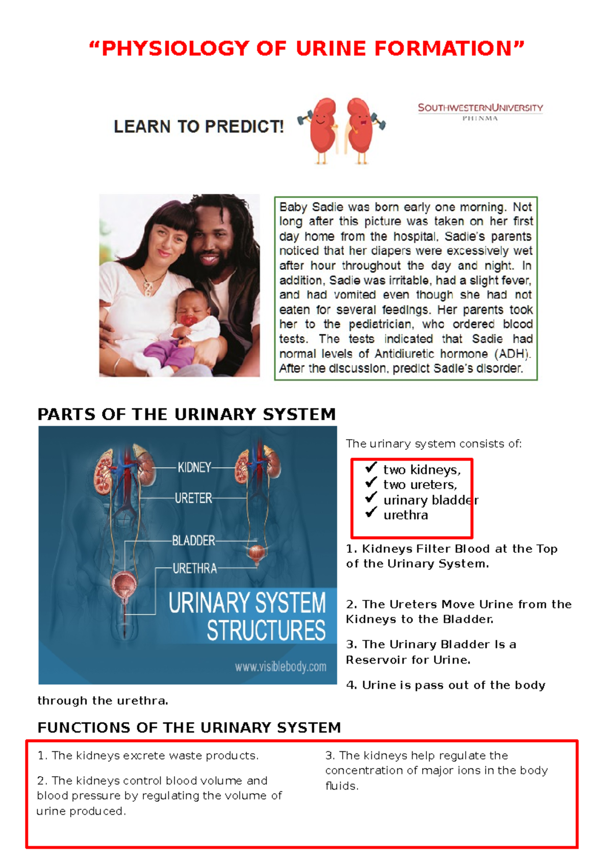 Physiology OF Urine Formation - “PHYSIOLOGY OF URINE FORMATION” PARTS ...